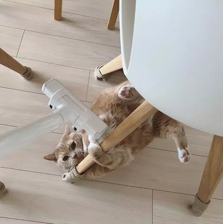 日本卖疯了的吸尘器,却比戴森便宜一半!